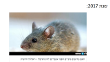 מדעי הלהטבג